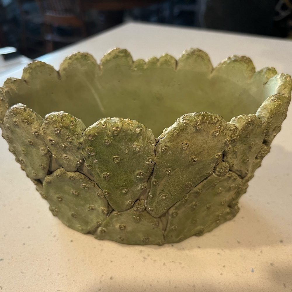 Oval Cactus Planter